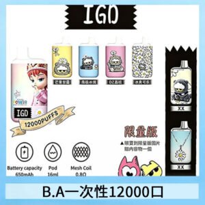 B.A IGD12000口 一次性拋棄式 電子煙