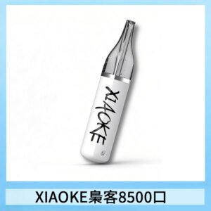 梟客XIAOKE一次性電子菸拋棄式8500口